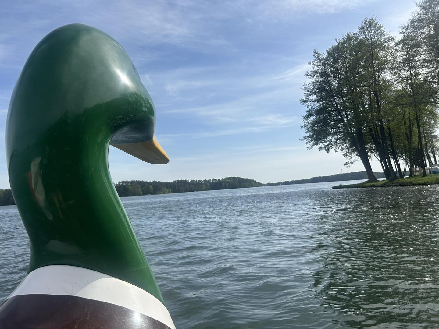 Kajaki na jeziorze Raduńskim